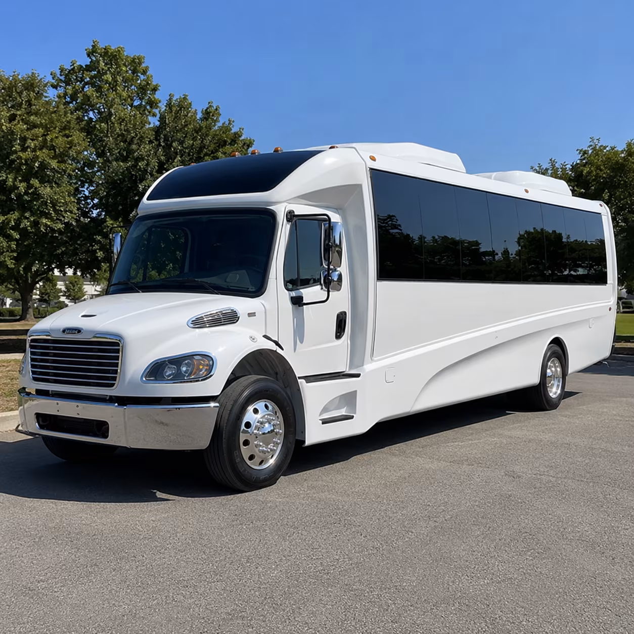 mcallen 15 passenger minibus