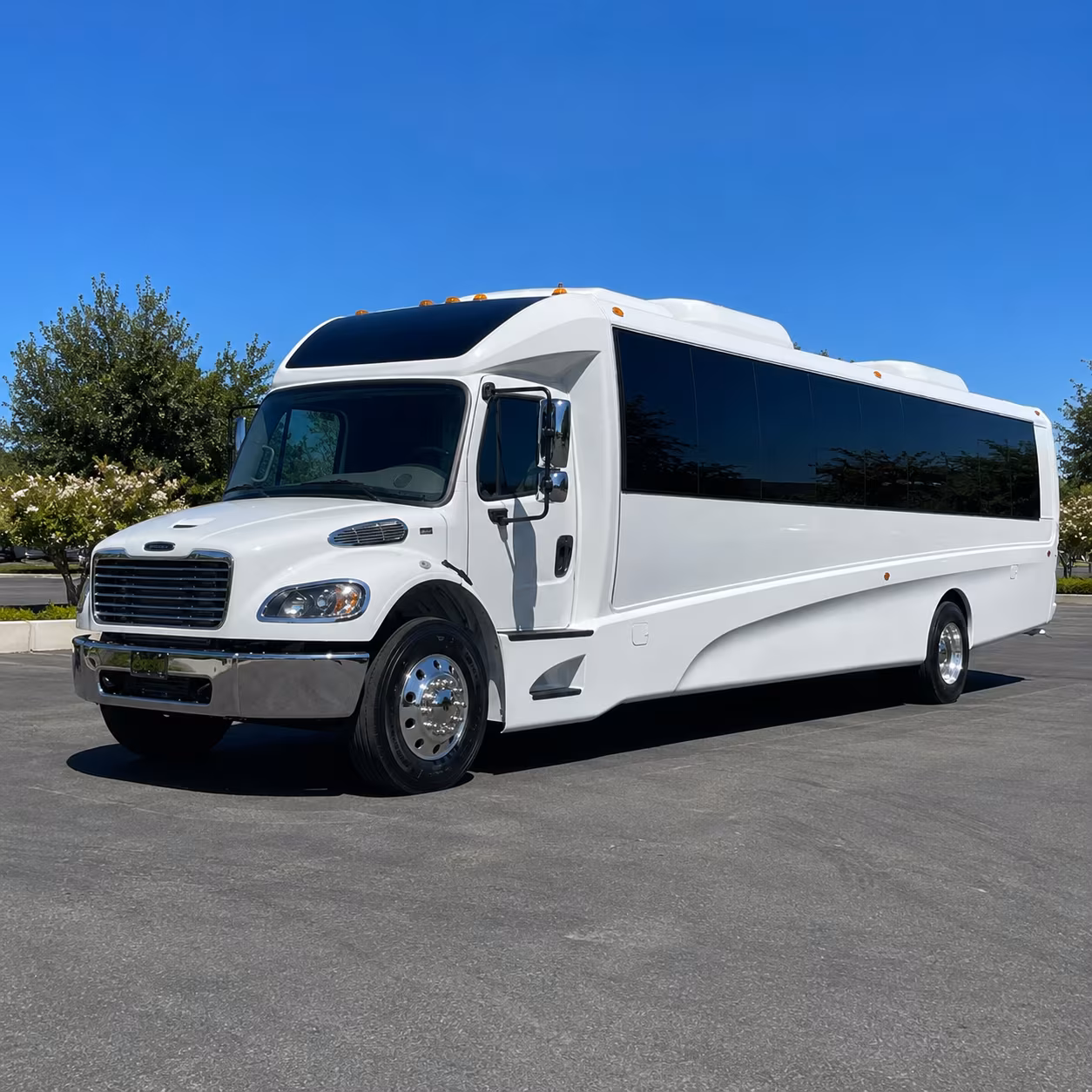 mcallen 18 passenger minibus
