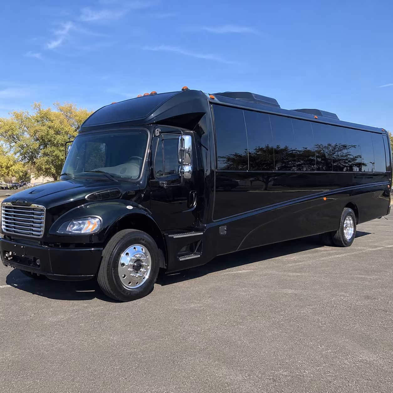 mcallen 20 passenger minibus
