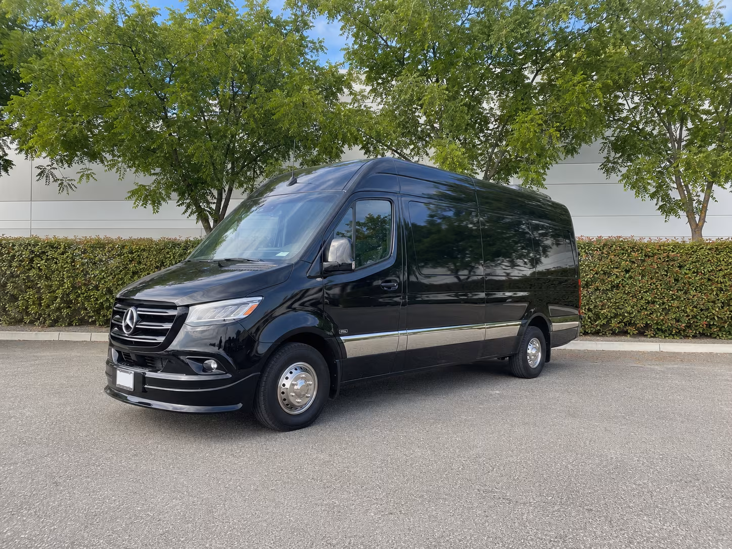 mcallen sprinter van with driver